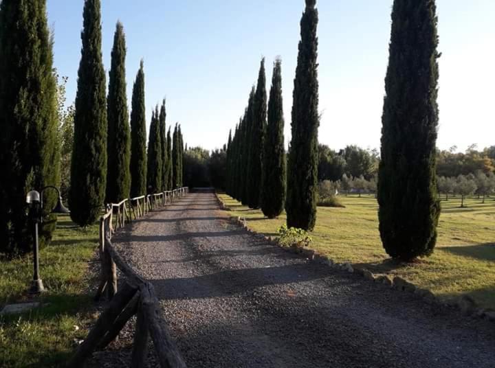 Agriturismo Lupo Cerrino Tarquinia Eksteriør bilde
