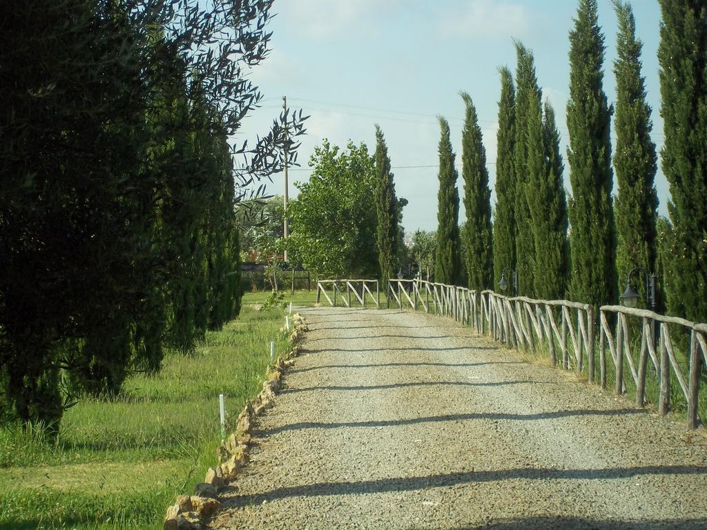 Agriturismo Lupo Cerrino Tarquinia Eksteriør bilde